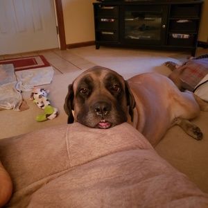 Meet your Posher, Shelly